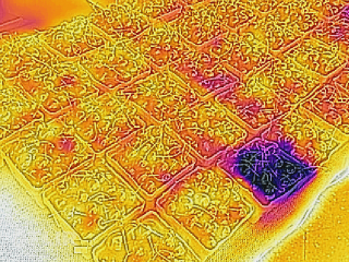 Illustration for article titled The First Thermal Imaging Phone Made Me Feel Like Predator